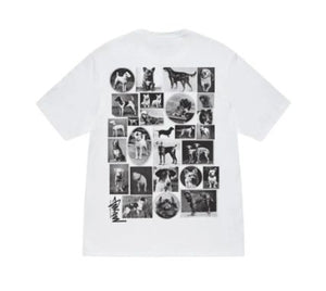 STUSSY Dog Collage Tee White