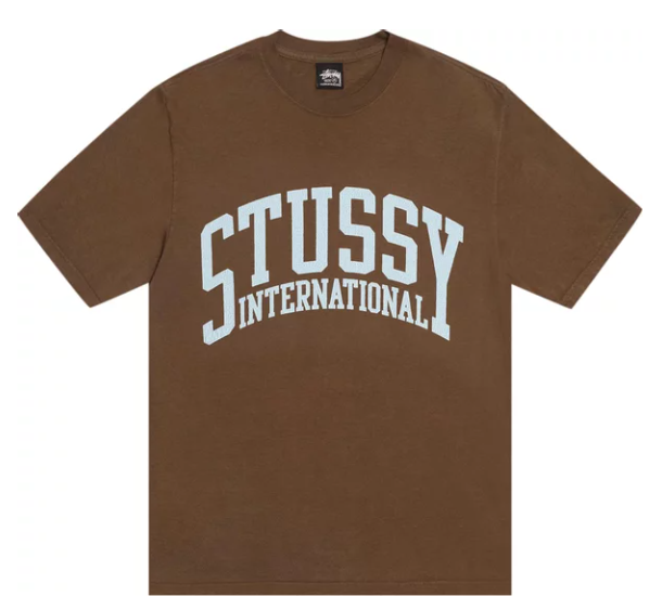 Stussy International Tee Pigment Dyed 'Brown'