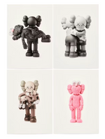 Load image into Gallery viewer, KAWS Vinyl Toys Postcard (FRAMED)
