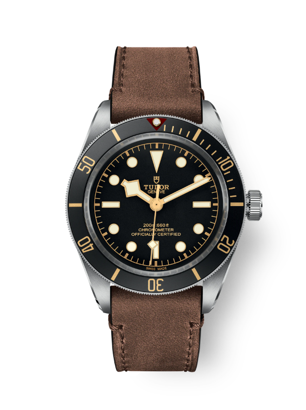 Tudor Black Bay