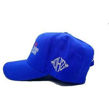 KTHLA LA Dodgers Blue