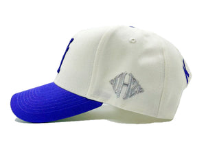 Kill The Hype LA Vntg grape fw21